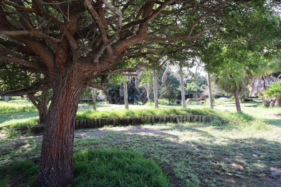 Commercial Property for Sale in Chelsea Eastern Cape